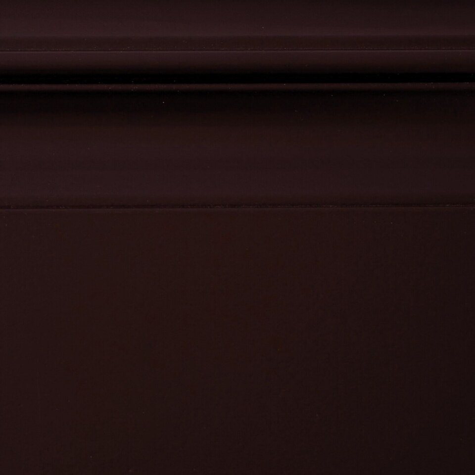 Paint · Raisin