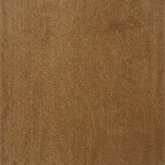 Maple · Chicory