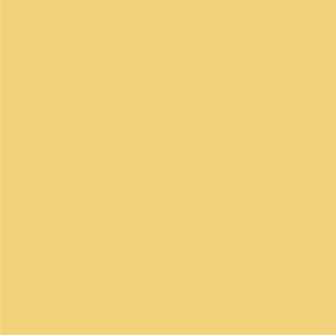 Paint · Rich Yellow