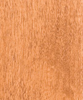 Maple · Spice
