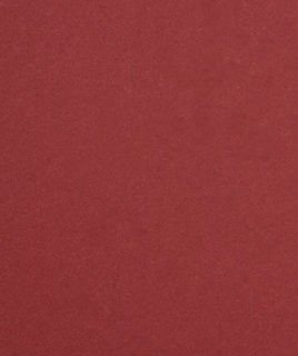 Paint · Merit Red