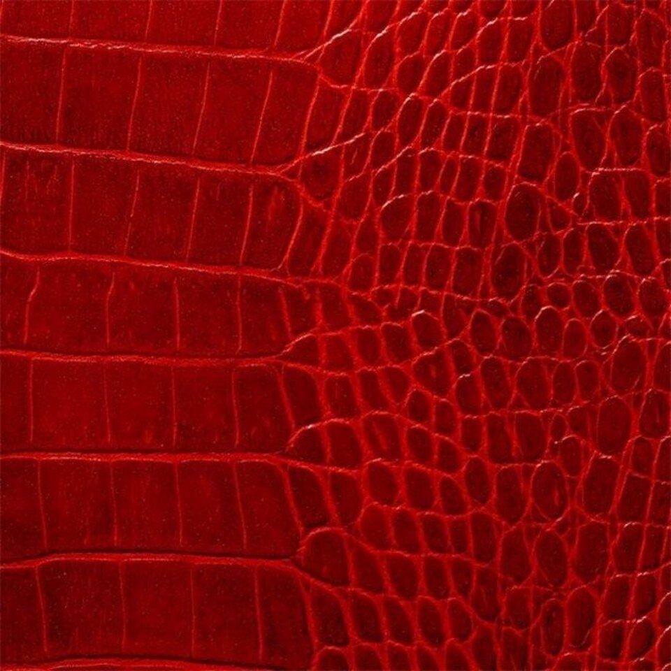 Leather · Crocodile Fire