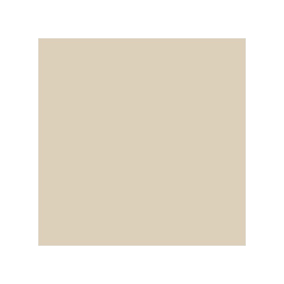 Paint · Eggshell