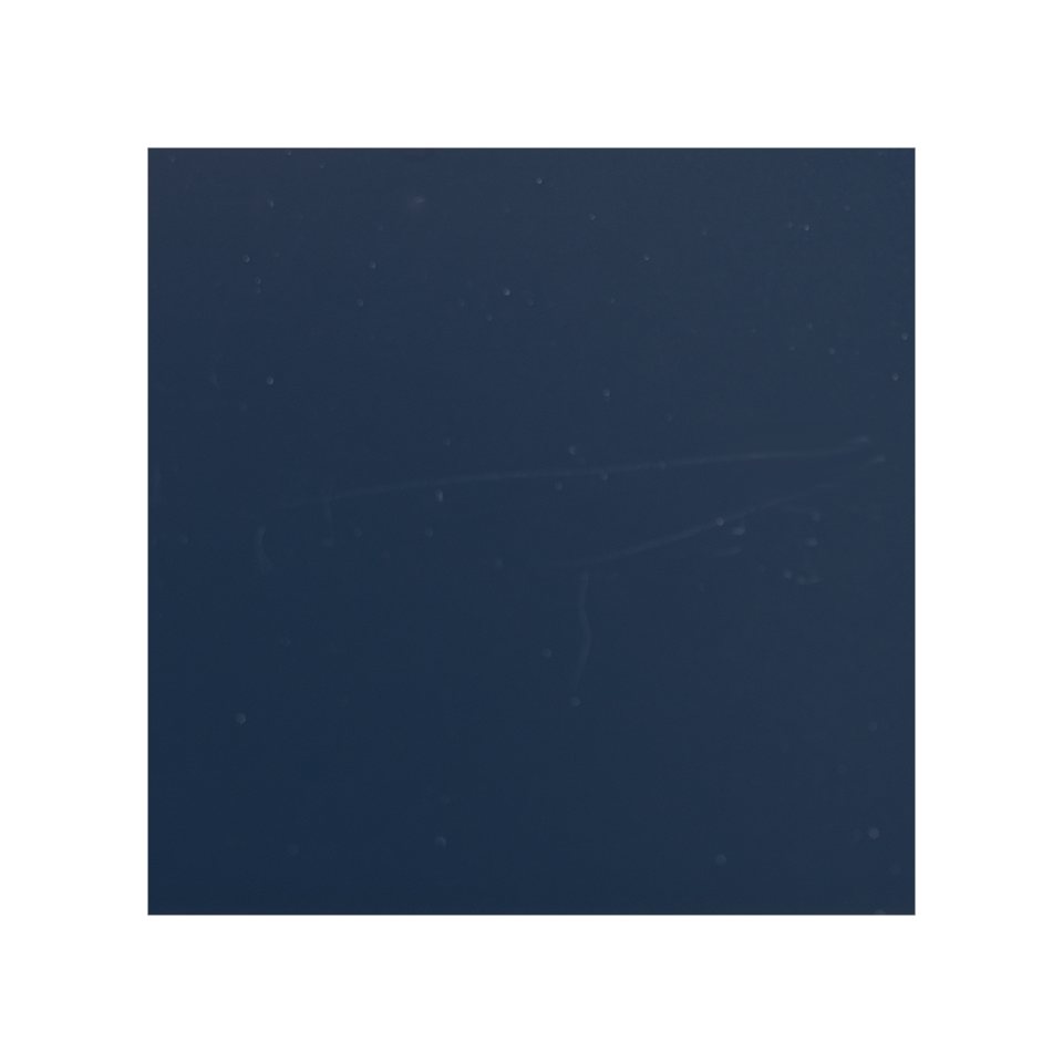 Paint · Nantucket