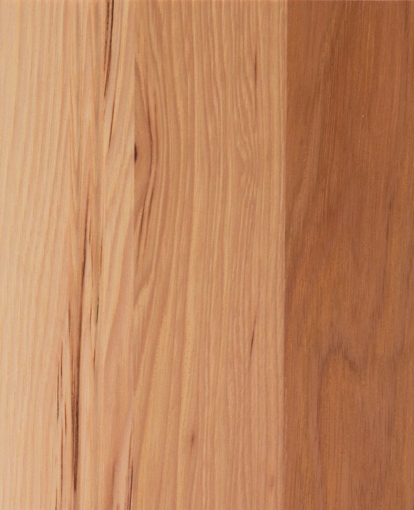 Hickory · Natural