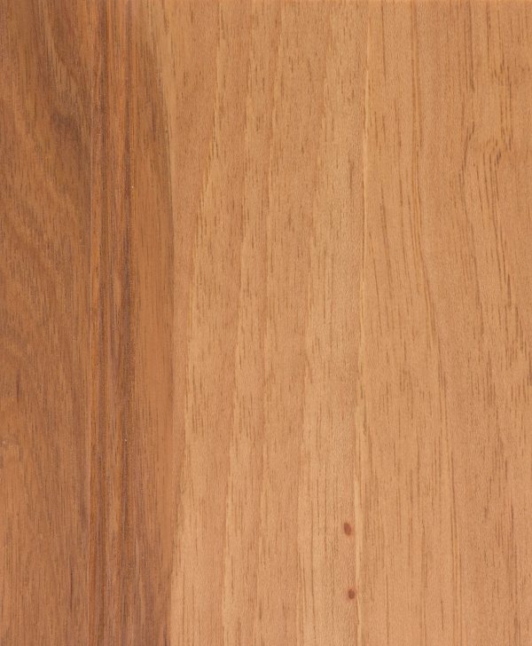 Hickory · Oregano